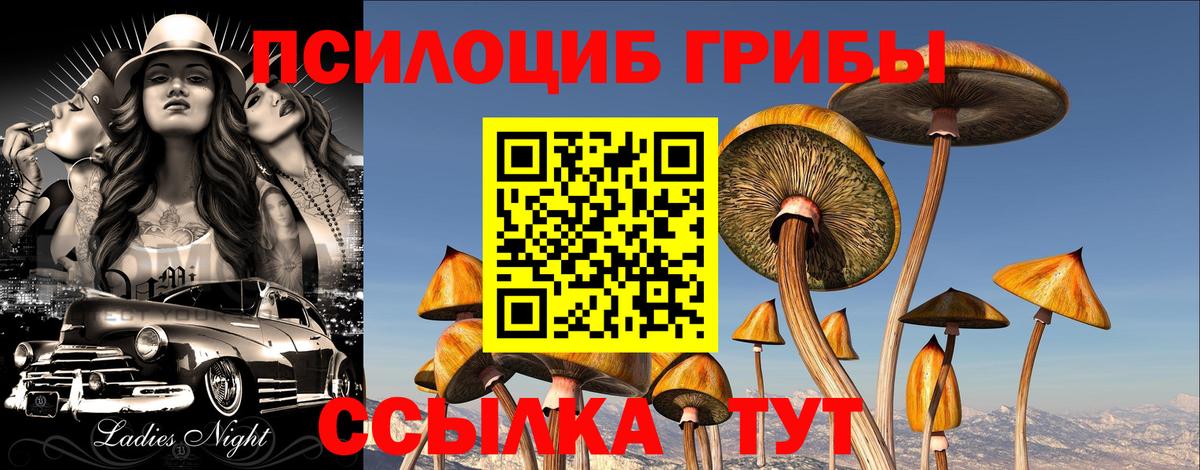 Кудымкар  Псилоцибиновые грибы MAGIC MUSHROOMS  Псилоцибиновые грибы Magic Shrooms  Вход с VPN 