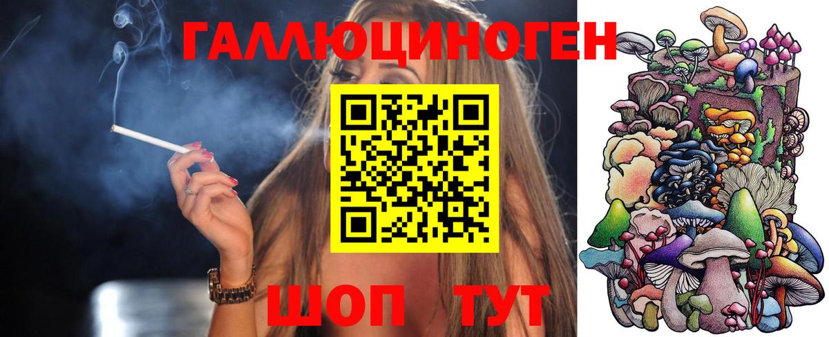 Галлюциногенные грибы Psilocybine cubensis Кудымкар